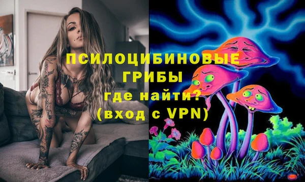 ПСИЛОЦИБИНОВЫЕ ГРИБЫ Снежногорск